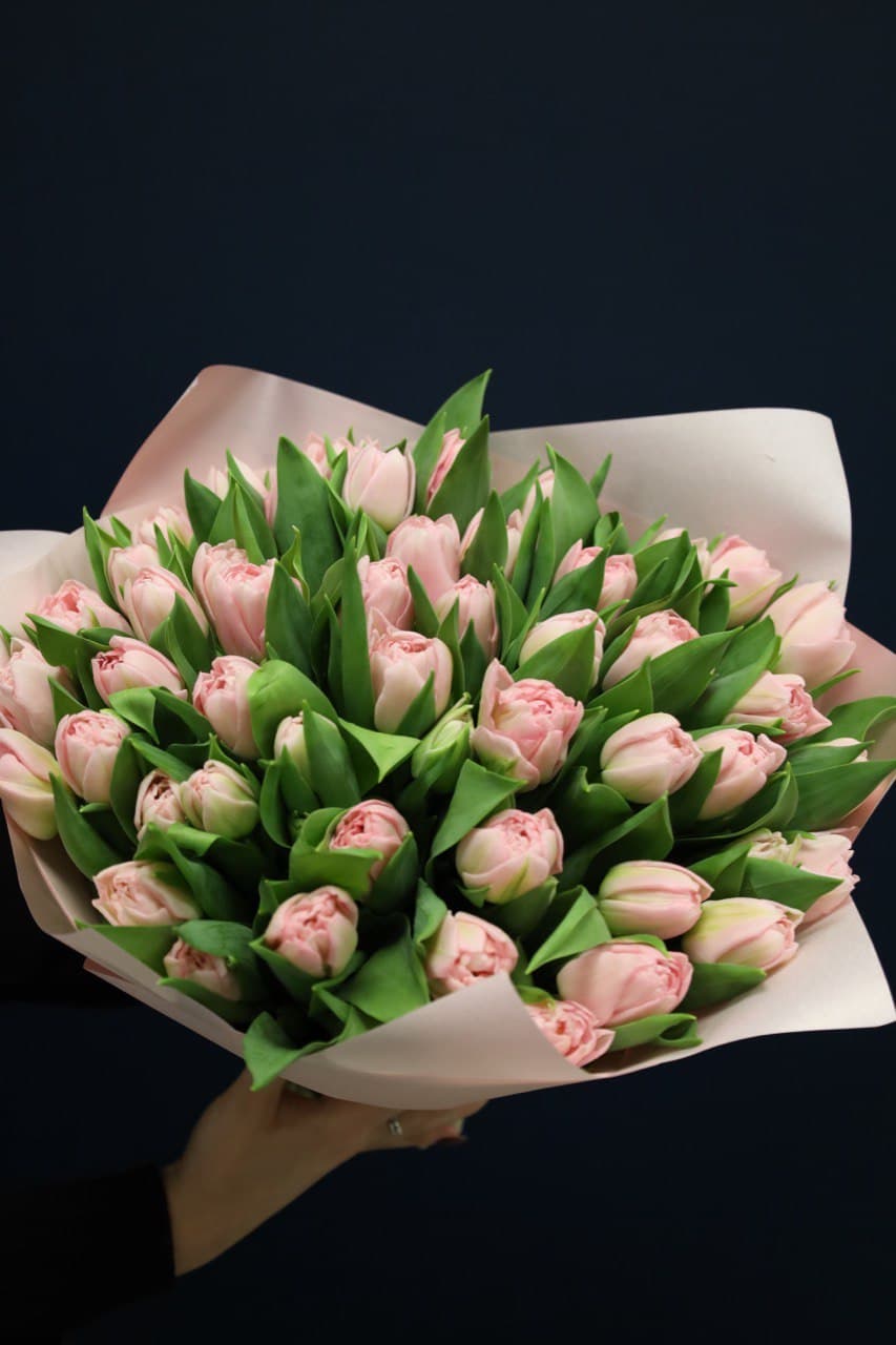 Pink Dream (51 szt)